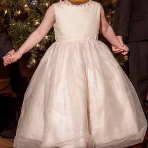 Toddler dress (size 2T)